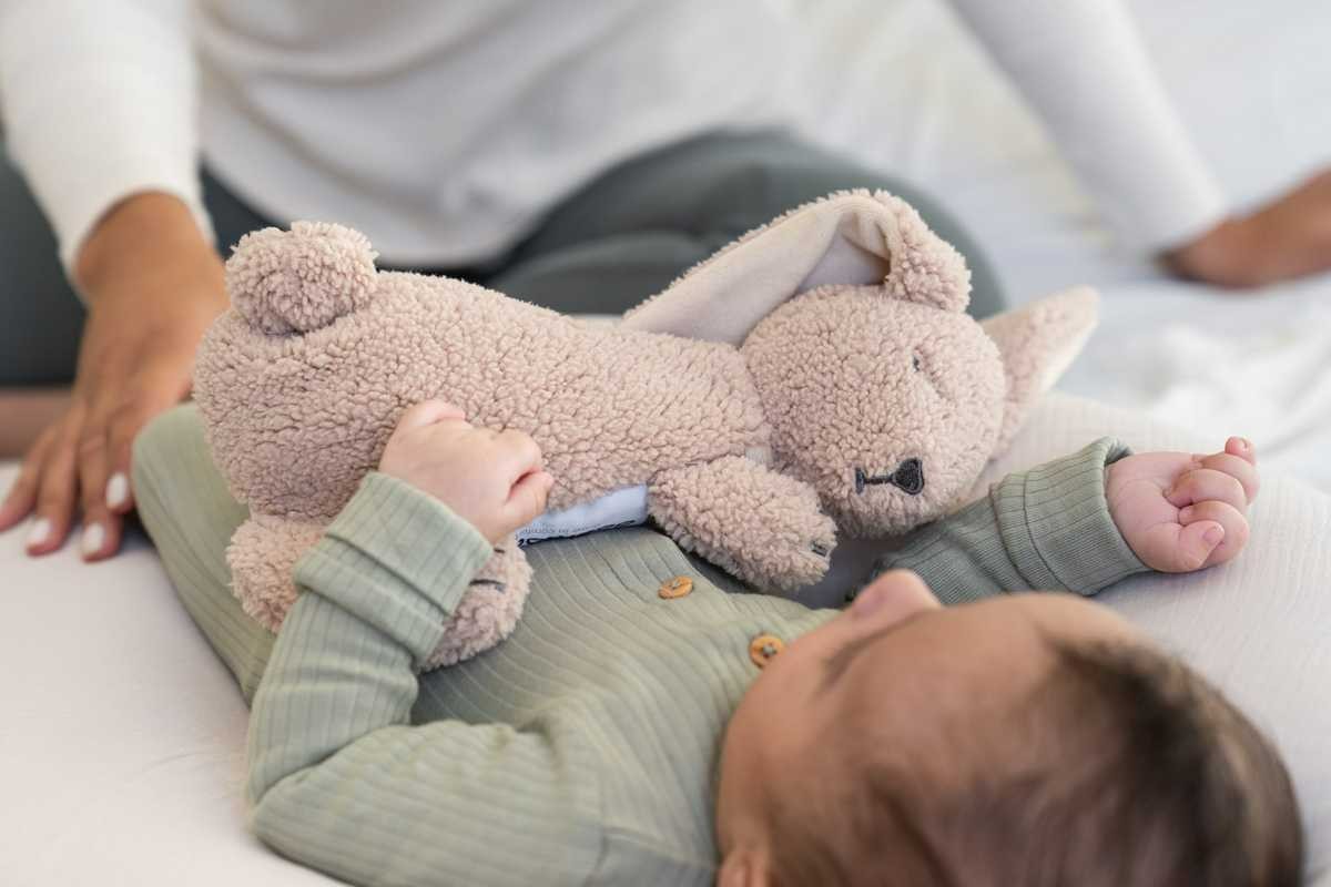 Bouillotte Peluche Micro-Ondes BEDDY BEAR