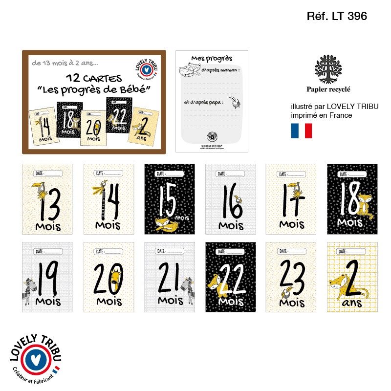 Coffret De 12 Cartes Progres Jungle De 13 Mois A 2 Ans