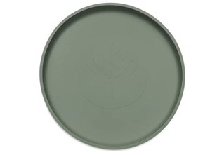Assiette Silicone Vert Cendre 4