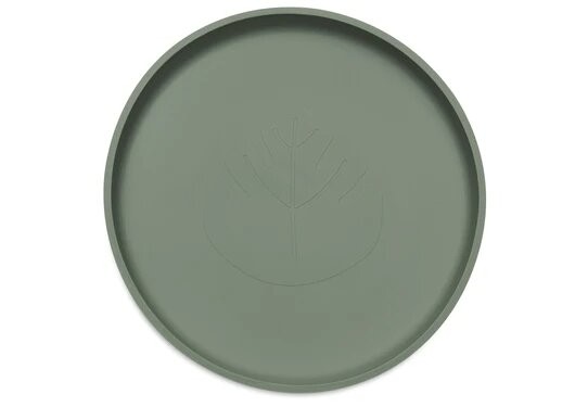 Assiette Silicone Vert Cendre 4