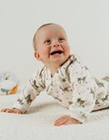 lot-sweat-pantalon-sweet-zebra_1200_1200-2573262