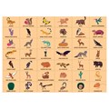 mudpuppy-mudpuppy-puzzle-dobservation-desert-64pcs (2)