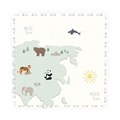 world-eevaa-play-go-429276_C
