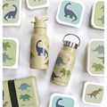gourde-en-acier-inoxydable-dinosaurs (1)