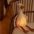 0029797_knuffelgans-licht-geluid