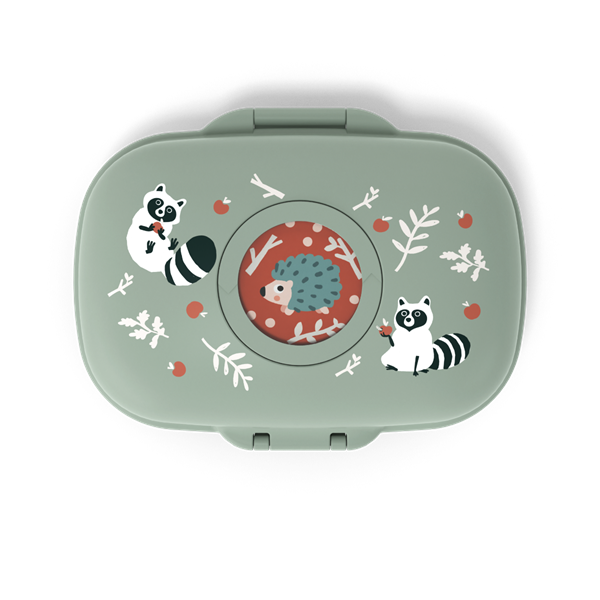 gram-raccoon-dessus-dessus