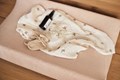 HOUSSE DE MATELAS À LANGER ÉPONGE 50X70CM Wild rose (2PC) 4