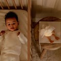 0029798_knuffelgans-licht-geluid