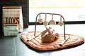 evotbna_product_amb_2_1680276773