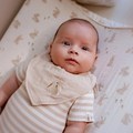 0031824_2-pack-bandana-slab-wit-newborn-naturals-baby-bunny