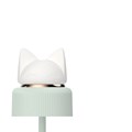 Lampe chat 6