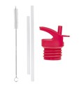 DBSSRE96-LR-1-Lid_-straw-_-brush-set-Cherries