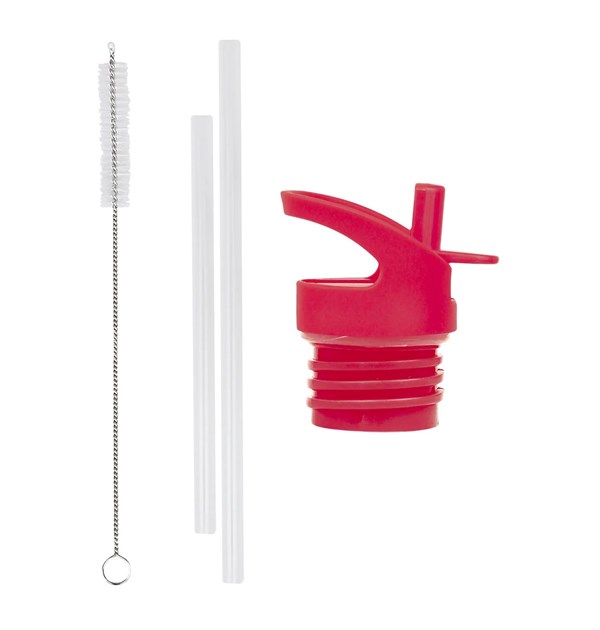 DBSSRE96-LR-1-Lid_-straw-_-brush-set-Cherries