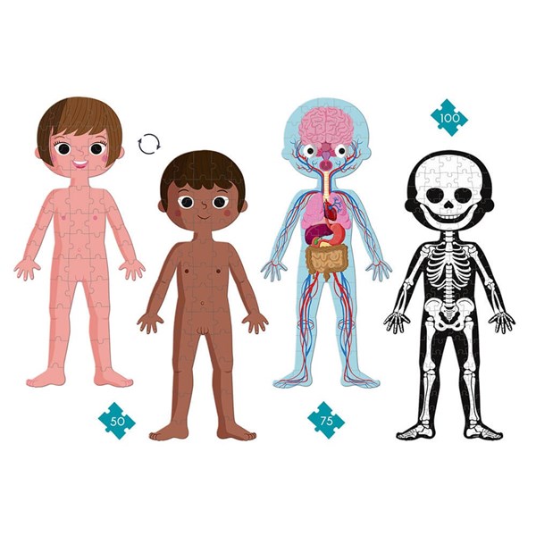 puzzle-educatif-geant-le-corps-humain (6)