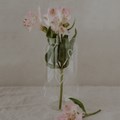 Grands cœurs de verre à boire2