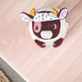 Vache-decouvertes (4)