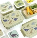 Lunch box bento Dinosaures 4