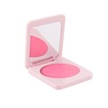 blush-makeup-set-20-s (1)