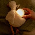 0029795_knuffelgans-licht-geluid