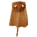 cape-lion-3