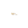 fox-gold-sparkling-pouch- (1)
