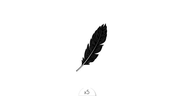 plume-noire-x5