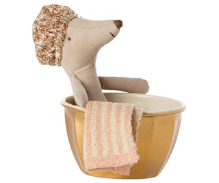 Souris bien-être, Grande soeur 1