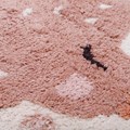 1047450427_Tapis_Birdy_Zoom