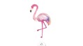flamant-rose-x5