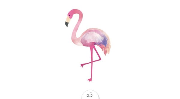 flamant-rose-x5