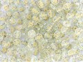 pot-perles-lettres-paillettes-or (1)