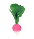 ramona-the-radish