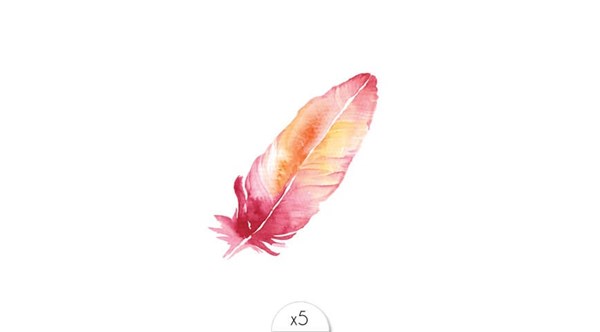 plume-rose-x5