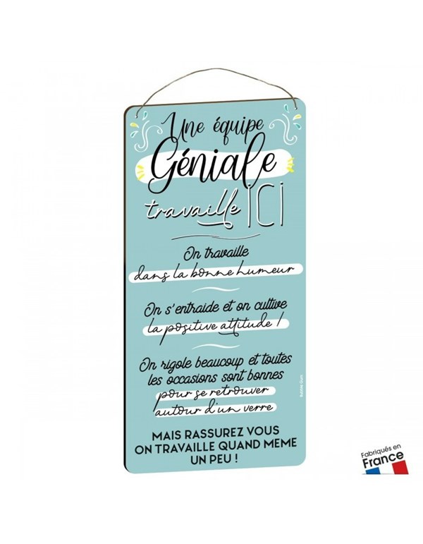 plaque-xxl-28x58cm-une-equipe-geniale