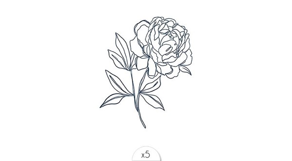 pivoine-noire-x5