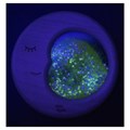 Petit-boum-sensory-moon-Lune-sensorielle (1)