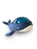 pabobo-aqua-dream-whale