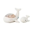Tranquil Whale - Family Blanche