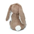 lapin brun 3