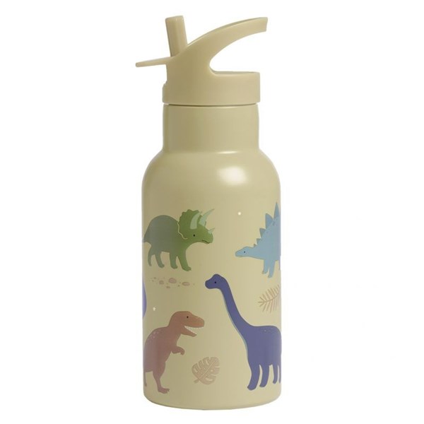 gourde-en-acier-inoxydable-dinosaurs