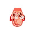 bebe-lena-lilliputiens_OH