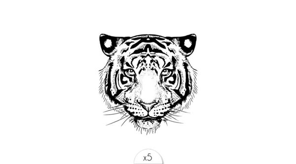 tigre