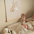 0032171_poster-a3-nbn-little-goose