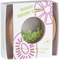 Beignet-sensoriel-kiwi2
