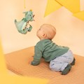 coucou-miroir-joe-le-dragon (1)