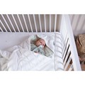 pa97w_product_amb_2_1712866562