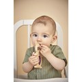 duo-dentition-refrigere-raton-laveur-kaloo-462871_G
