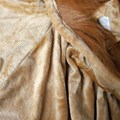 cape-lion-4