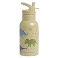 gourde-en-acier-inoxydable-dinosaurs (2)
