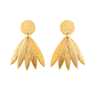 gina-3-cloris67eace034d498